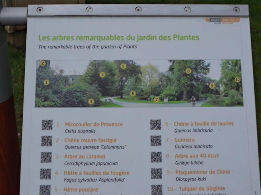 La Bergerie Angers Centre Ville Eksteriør billede